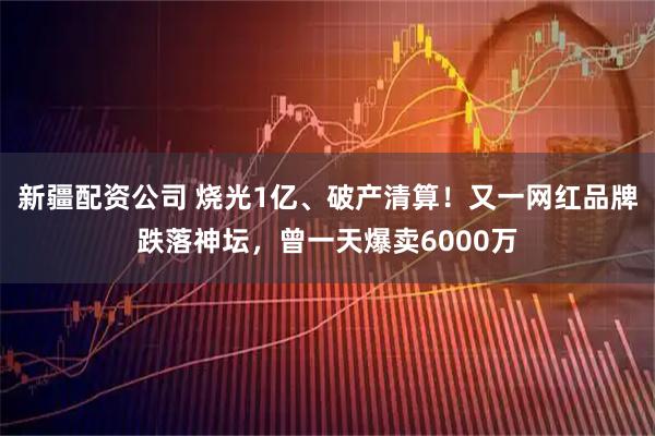 新疆配资公司 烧光1亿、破产清算！又一网红品牌跌落神坛，曾一天爆卖6000万